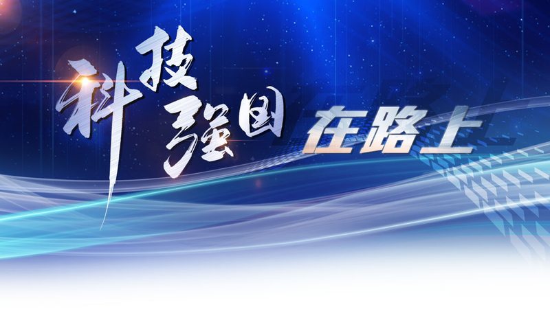 智能客服自动回复定制开发：构建高效客户服务新范式